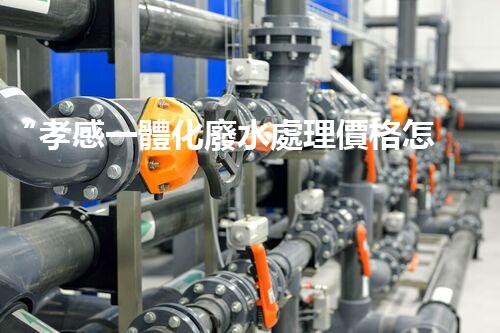 “孝感一體化廢水處理價格怎么樣？一文詳解！”
